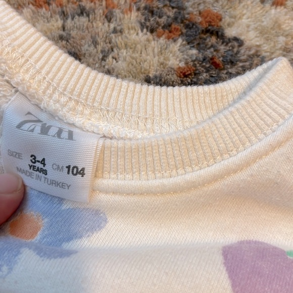 Reserved [Zara] Fruit Sweatshirt - Picture 3 of 4